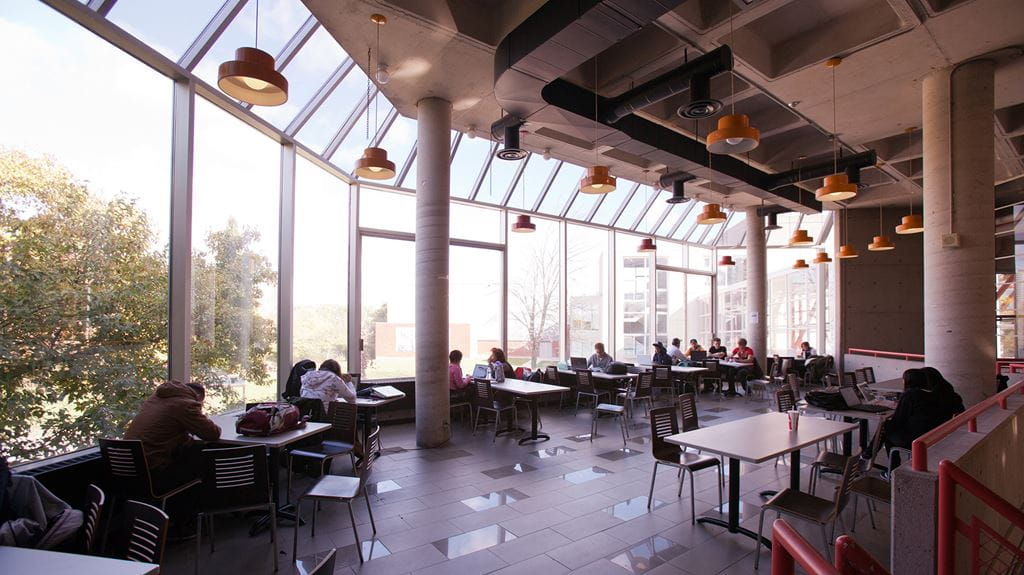 Students eating at tables in the cafeteria beside a wall of large bright windows