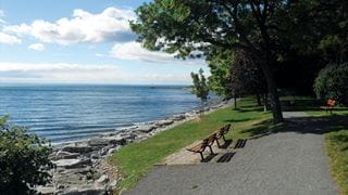 A park bench and walking path beside a lake.