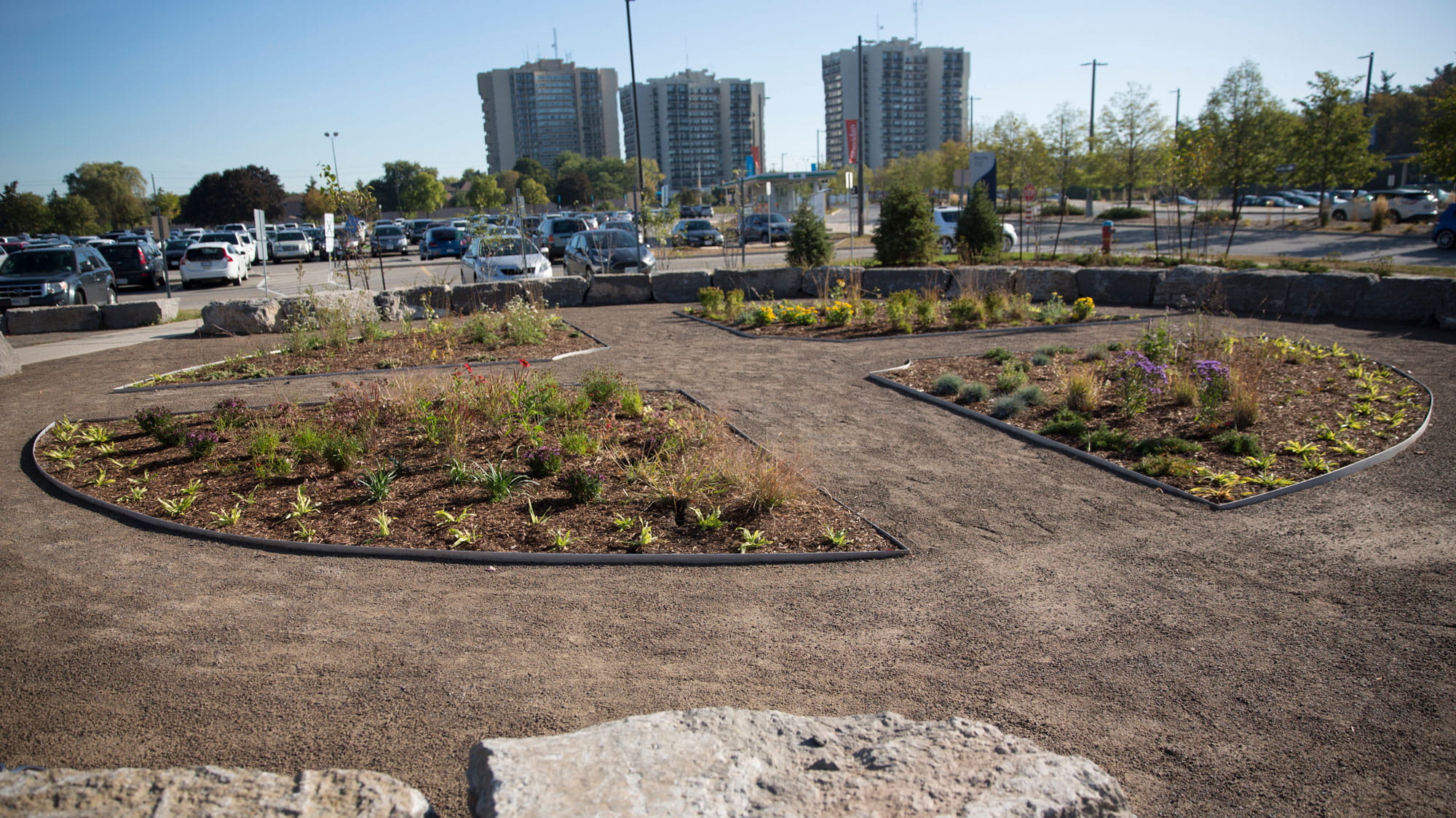 The Medicine Wheel Garden at Sheridan's Trafalgar Road Campus