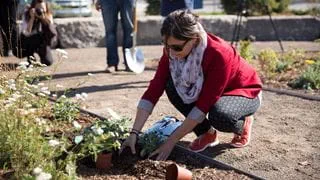 A woman kneeling beside a garden and planting flowers