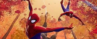 Spider-Man Into the Spiderverse 5x2