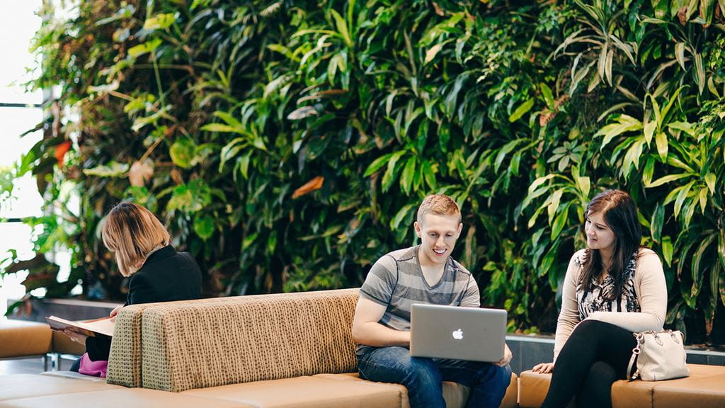 Two people seated in front of a wall of greenery, working on a laptop.