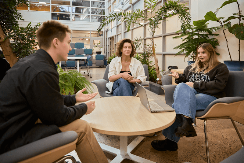 Interaction among peers at library