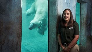 The facts of animal life