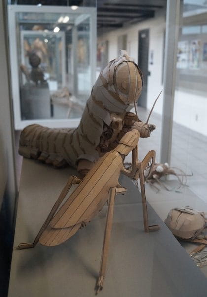 Arthropods on display at Sheridan's Trafalgar Campus
