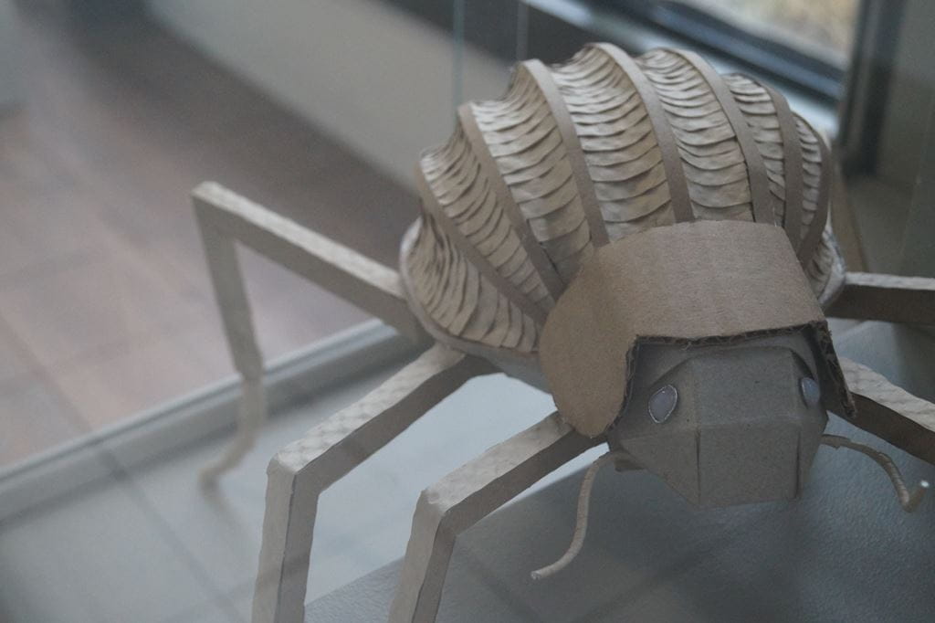 Insect made of cardboard in a display case