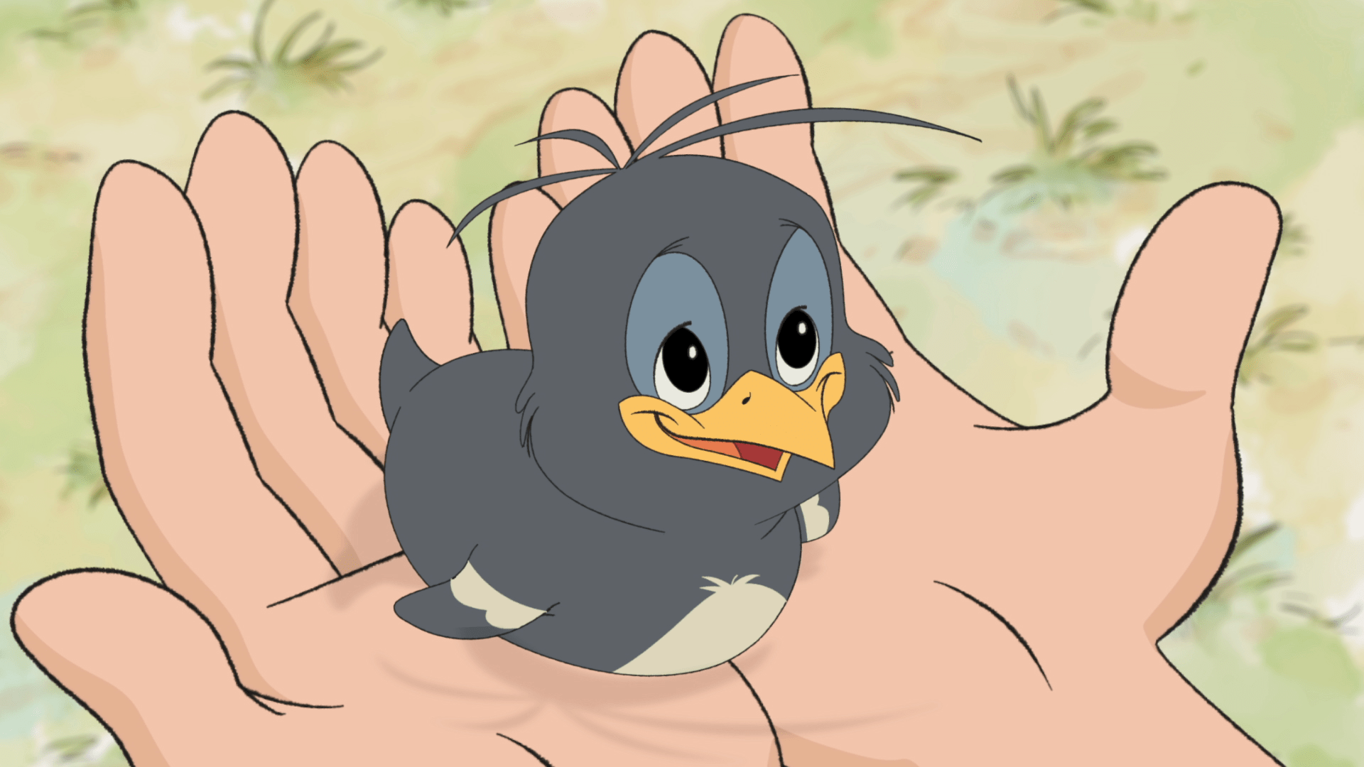 A still from the Hello Maggie animated film in which a small baby magpie sits in the hands of a young boy