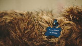 hammond-horizontal-photo