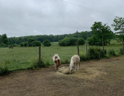 Sunrise pictures from site visit