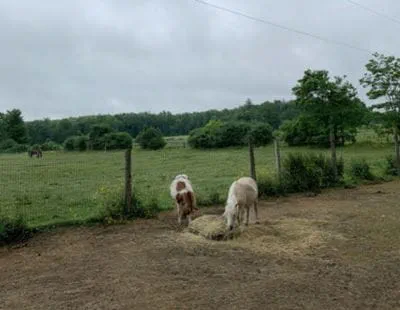 Sunrise pictures from site visit