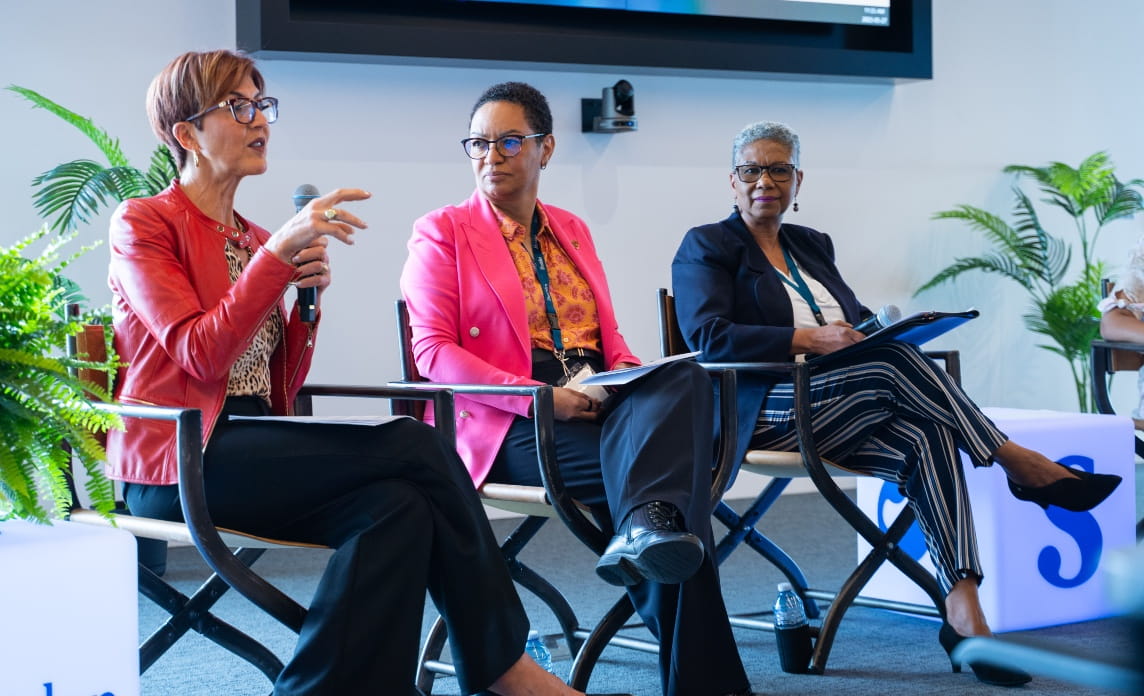 The panel discusses the role of public healthcare