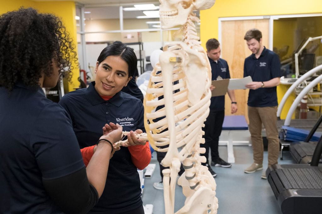 Kinesiology students speaking next to a skeleton in a classroom