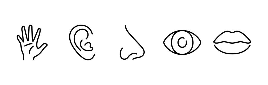 A black and white graphic representing the five senses: touch, hearing, smell, sight and taste
