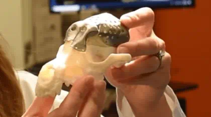 3D-printed plastic model and steel plate
