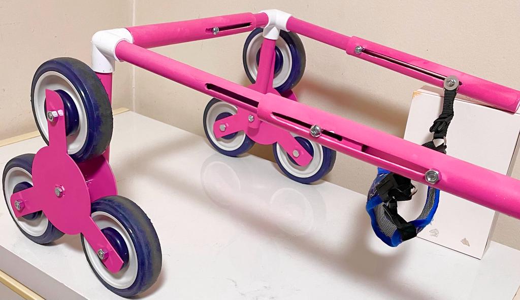 The kitty cruiser, a pink apparatus with wheels designed to act as a wheelchair for cats and dogs with disabilities