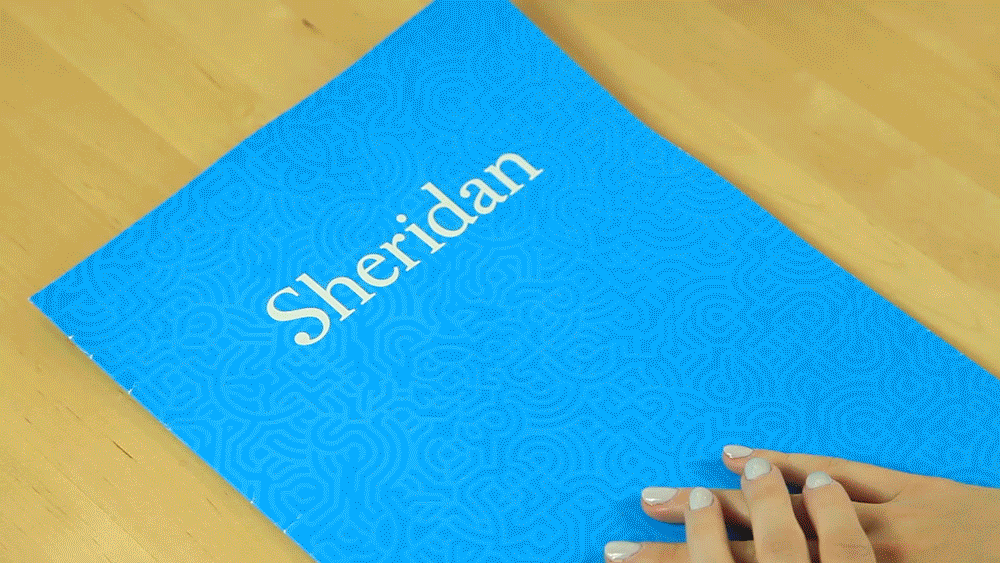 The process of colouring in one of Kristine Villeneuve's templates