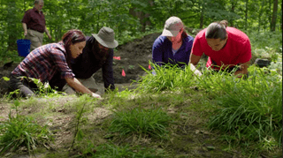 Wild Archaeology Season 2