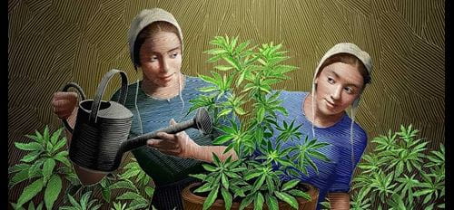 Grow Grow two women