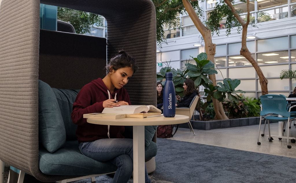 Person working at a table in the Sheridan Library