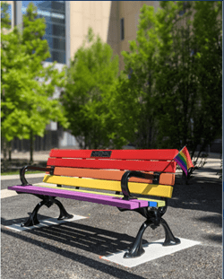 Rainbow Pride Bench in Scholar's Green