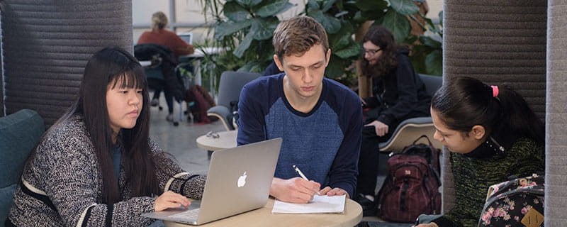 Sheridan students studying.