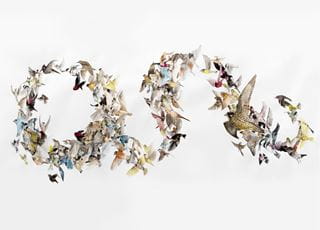 Work by Art History students hanging in a gallery