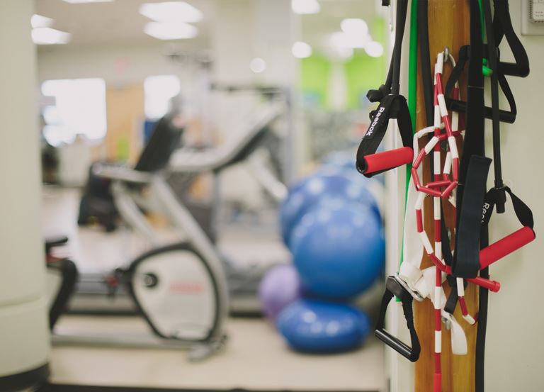 Bachelor of Athletic Therapy | Programs | Sheridan College