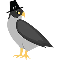 Bird wearing a hat